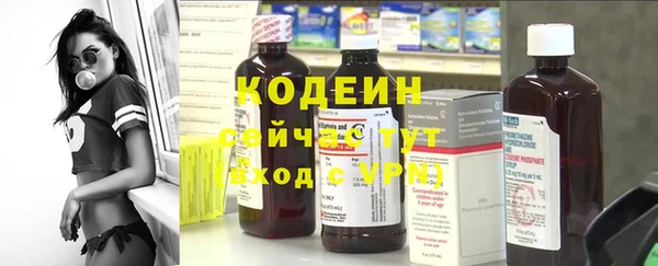 МДПВ Гусев