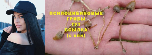 МДПВ Гусев