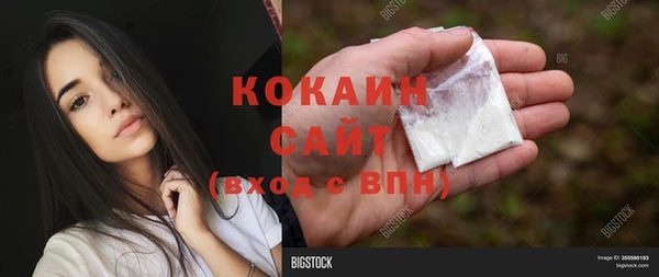 МДПВ Гусев