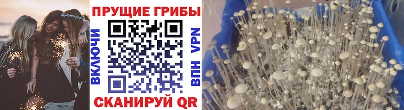 сколько стоит Плавск Галлюциногенные грибы прущие грибы